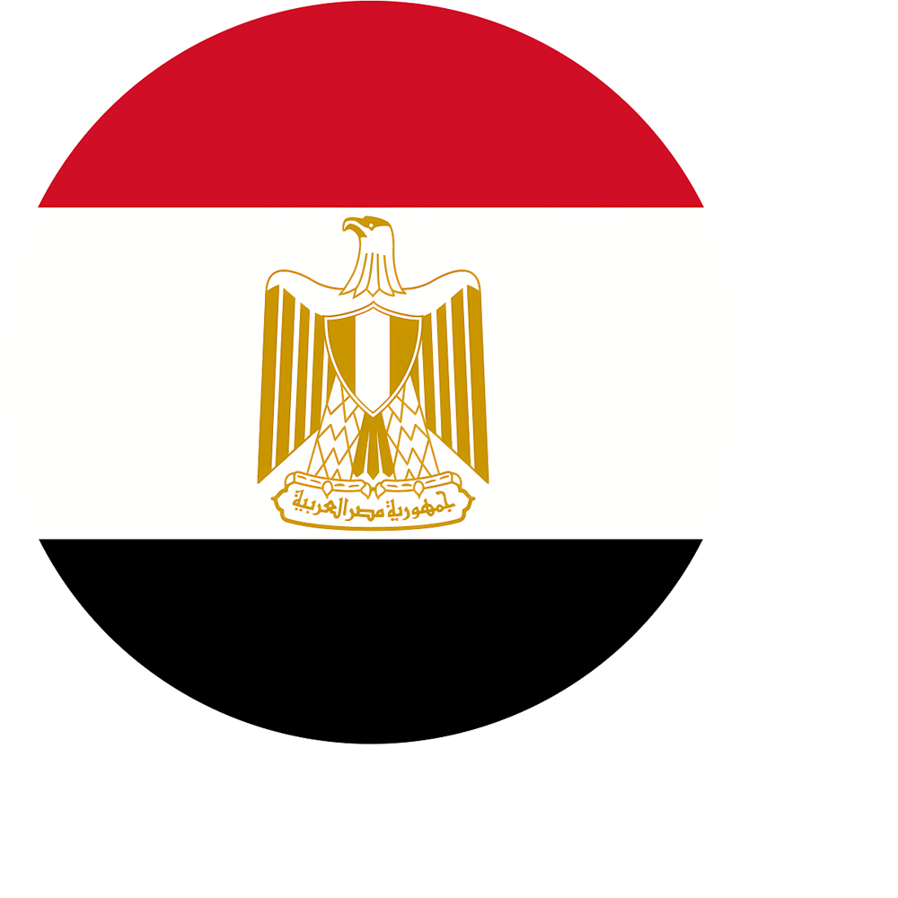 transparent-egypt-flag-of-egypt-egypt-flag-egyptian-national-f-egypt-flag-tricolor-with-eagle-and-motto66072dd02cffd3.47680857 copiar.png